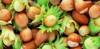 Lajthitë e Njoma dhe të Freskëta – Pse Duhen Patjetër Për Organizmin