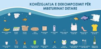 16 shtatori, Dita Ndërkombëtare e Pastrimit të Bregdetit