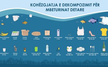 16 shtatori, Dita Ndërkombëtare e Pastrimit të Bregdetit