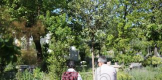 Pensionet private, rritet me 3 % numri i anëtarëve në skema