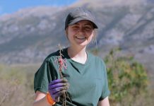 Vullnetarë nga Shqipëria dhe nga bota për të pastruar e gjelbëruar Vjosën