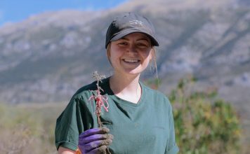 Vullnetarë nga Shqipëria dhe nga bota për të pastruar e gjelbëruar Vjosën