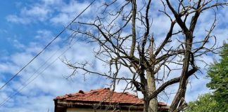 Janjeva, destinacion turistik me vlera