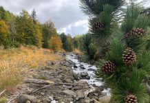 Guri i Nikës, atraksion turistik i vizitueshëm në çdo stinë të vitit