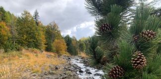 Guri i Nikës, atraksion turistik i vizitueshëm në çdo stinë të vitit