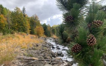 Guri i Nikës, atraksion turistik i vizitueshëm në çdo stinë të vitit