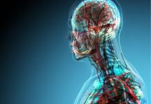 Sa organe ka trupi i njeriut? Jo aq sa dinit!