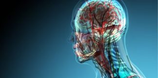 Sa organe ka trupi i njeriut? Jo aq sa dinit!