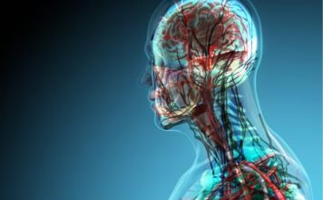 Sa organe ka trupi i njeriut? Jo aq sa dinit!