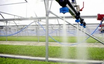 Investimet në bujqësi, 11 milionë euro për ujitjen dhe kullimin