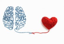 Cila është proteina që bashkon trurin, zemrën dhe veshkat si një fije peri?