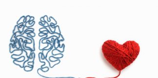 Cila është proteina që bashkon trurin, zemrën dhe veshkat si një fije peri?