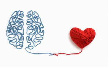 Cila është proteina që bashkon trurin, zemrën dhe veshkat si një fije peri?