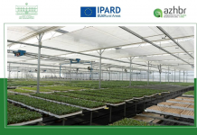 AZHBR: 54 investime në serra u mbështetën nga IPARD II në qarkun e Fierit