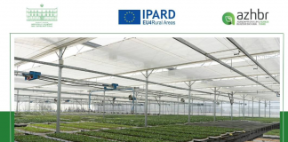 AZHBR: 54 investime në serra u mbështetën nga IPARD II në qarkun e Fierit