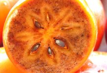 Në Treg Hurmat e Para Farëzeza – Pse ju Duhen për Shëndetin