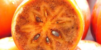 Në Treg Hurmat e Para Farëzeza – Pse ju Duhen për Shëndetin