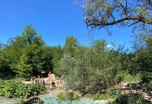 “Syri i Kaltër”/ Destinacioni i mbi 185 mijë vizitorëve në 9 muaj