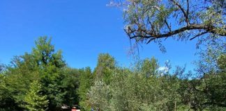 “Syri i Kaltër”/ Destinacioni i mbi 185 mijë vizitorëve në 9 muaj