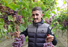 Ermiri në Libofshë, kultivon në serra rrushin për tavolinë dhe 70% të prodhimit të tij e çon për eksport