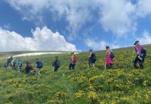 Parku natyror Korab-Koritnik, ATSH: Rreth 40 mijë turistë në janar-shtator