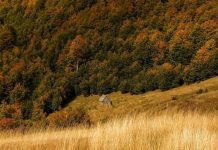 Kështu ka ardhur tetori në majën e Vajushës në Lëpushë