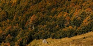 Kështu ka ardhur tetori në majën e Vajushës në Lëpushë