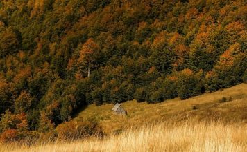 Kështu ka ardhur tetori në majën e Vajushës në Lëpushë