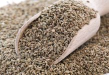 Vlerat e Panjohura të Farave të Selinosë