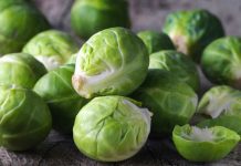 10 Vlerat e Mëdha të Lakrës së Vogël