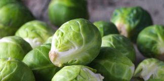 10 Vlerat e Mëdha të Lakrës së Vogël