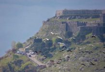 Pamje magjepsëse të fluturimit mbi Kalanë e Rozafës