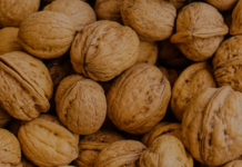 Arrat e Reja në Treg – Ndikimi i Fuqishëm në Shëndet dhe Sëmundjet që Parandalojnë