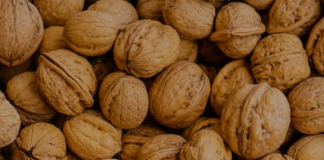 Arrat e Reja në Treg – Ndikimi i Fuqishëm në Shëndet dhe Sëmundjet që Parandalojnë