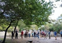 Rritje e fluksit të turistëve në Butrint