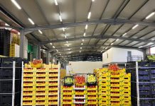 Eksportet bujqësore, rritje me 12.5 % gjatë 10-mujorit