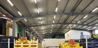 Eksportet bujqësore, rritje me 12.5 % gjatë 10-mujorit