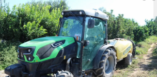 Mbështetja nga IPARD, ferma me mandarina në Konispol, furnizon tregun vendas dhe të huaj