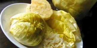 Lakër Turshi me Kripë – Sipas Recetës së Vjetër të Traditës