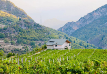 Banorët po kthejnë shtëpitë në bujtina të agroturizmit