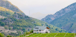 Banorët po kthejnë shtëpitë në bujtina të agroturizmit