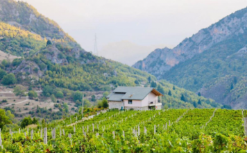 Banorët po kthejnë shtëpitë në bujtina të agroturizmit