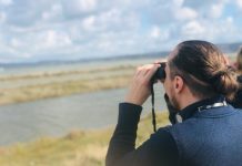 Laguna e Nartës, oaz i shpendëve migratorë