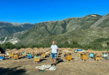 Parku i bletëve me 126 koshere në Gjirokastër me mbështetjen e AZHBR-së