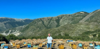 Parku i bletëve me 126 koshere në Gjirokastër me mbështetjen e AZHBR-së