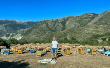 Parku i bletëve me 126 koshere në Gjirokastër me mbështetjen e AZHBR-së