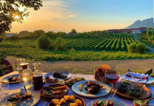 “Agritourism Tours”, ofertë të specializuar turistike për zhvillimin ekonomik të zonave rurale