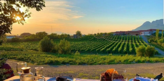 “Agritourism Tours”, ofertë të specializuar turistike për zhvillimin ekonomik të zonave rurale