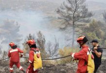 Shpërblim të veçantë për 586 zjarrfikës, dy paga shtesë për 38 efektivë të FA