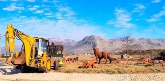 Vepra e artistit Ruowang në rrethrrotullimin e Koplikut